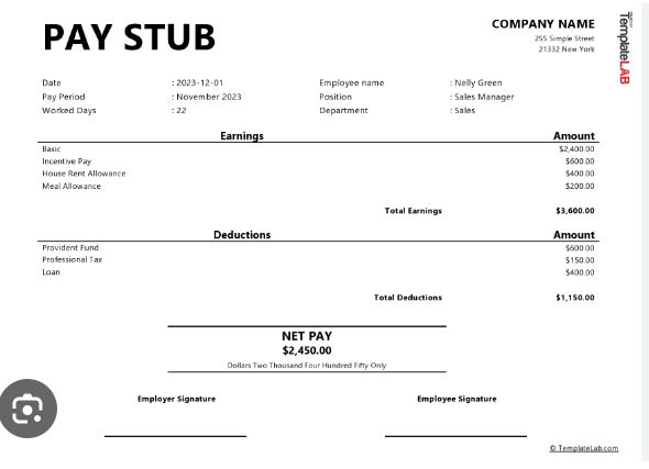 Budget-Friendly Finance: Creating Free Check Stubs - Techuck